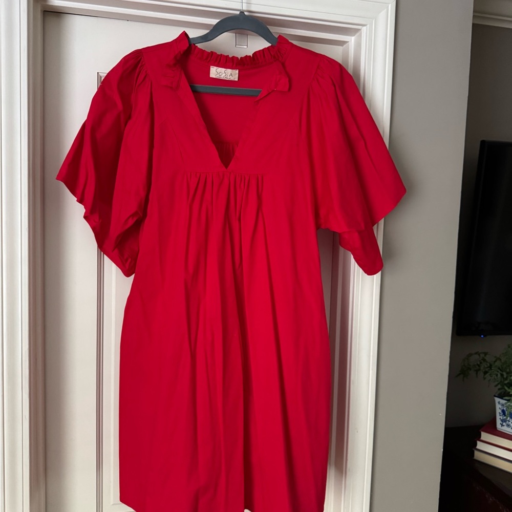 Chic Scarlet Mini Dress